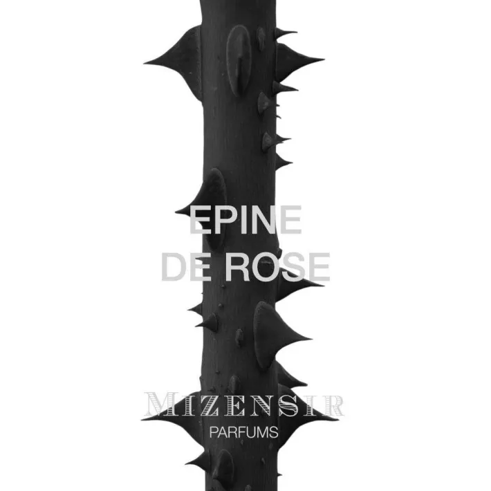 Eaux De Parfums^Mizensir Parfums EPINE DE ROSE | Eau de parfum