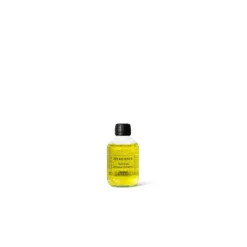Diffuseurs D'intérieur^Mizensir Parfums Sapin de Noël | Interior diffuser