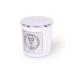 Bougies Parfumées^Mizensir Parfums Vacances d'Hiver | Scented candle